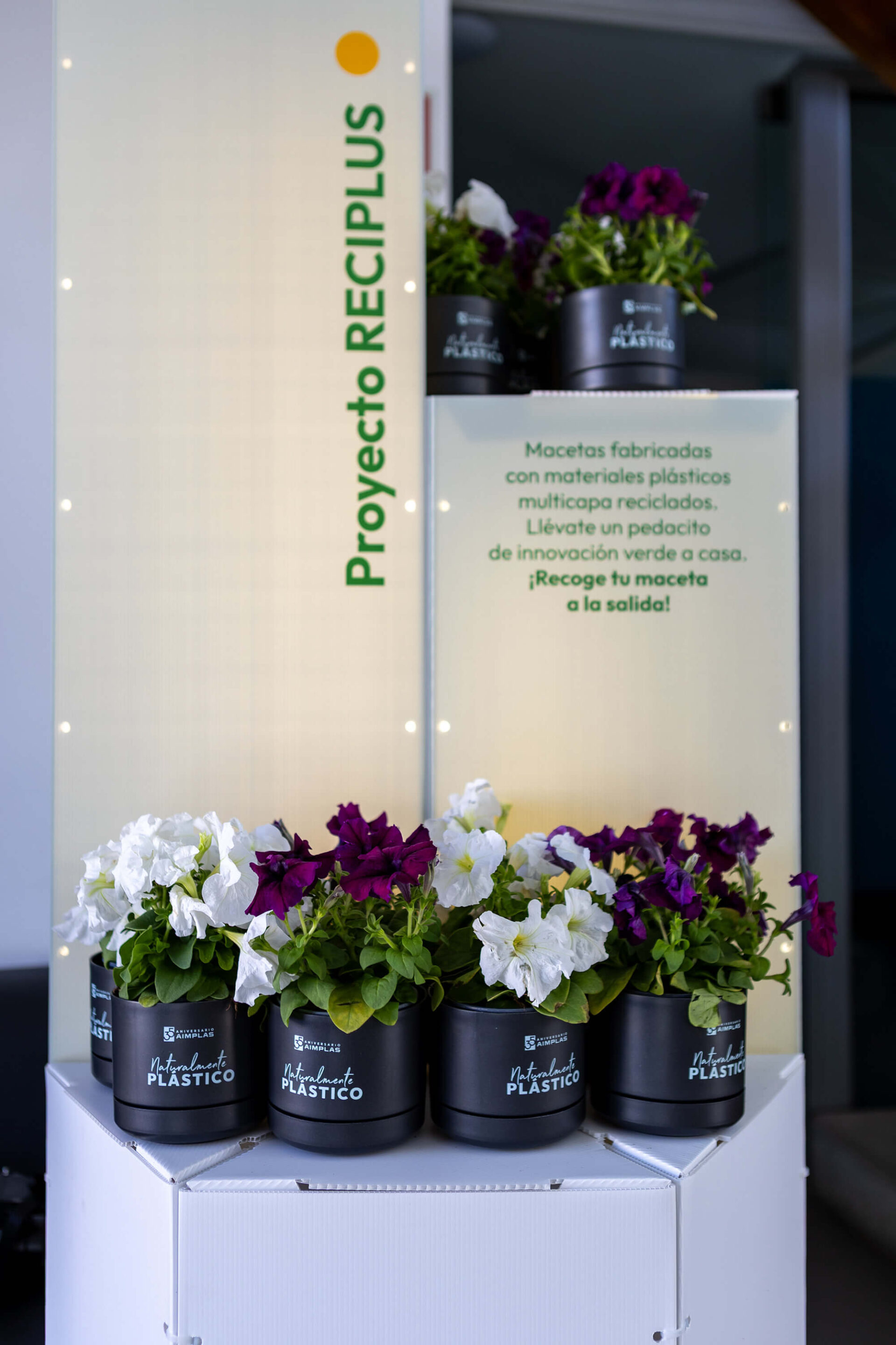 Aimplas evento 35 aniversario