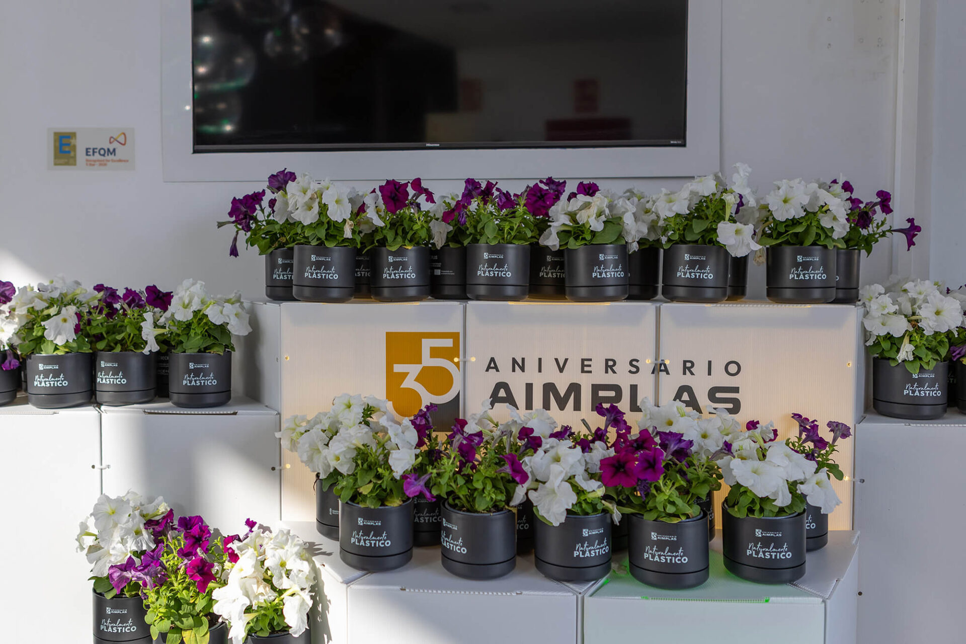 Aimplas evento 35 aniversario