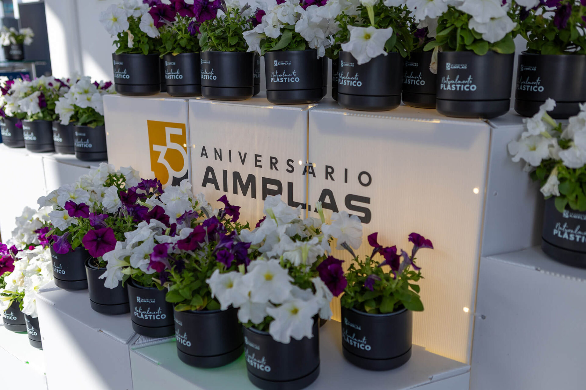 Aimplas evento 35 aniversario